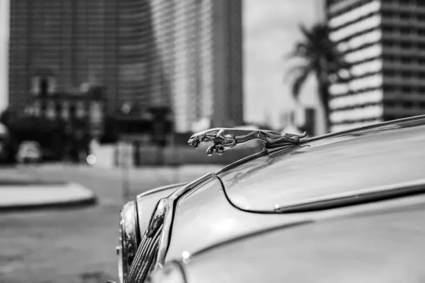 Kasino Loony Bingo Android/iOS aplikace